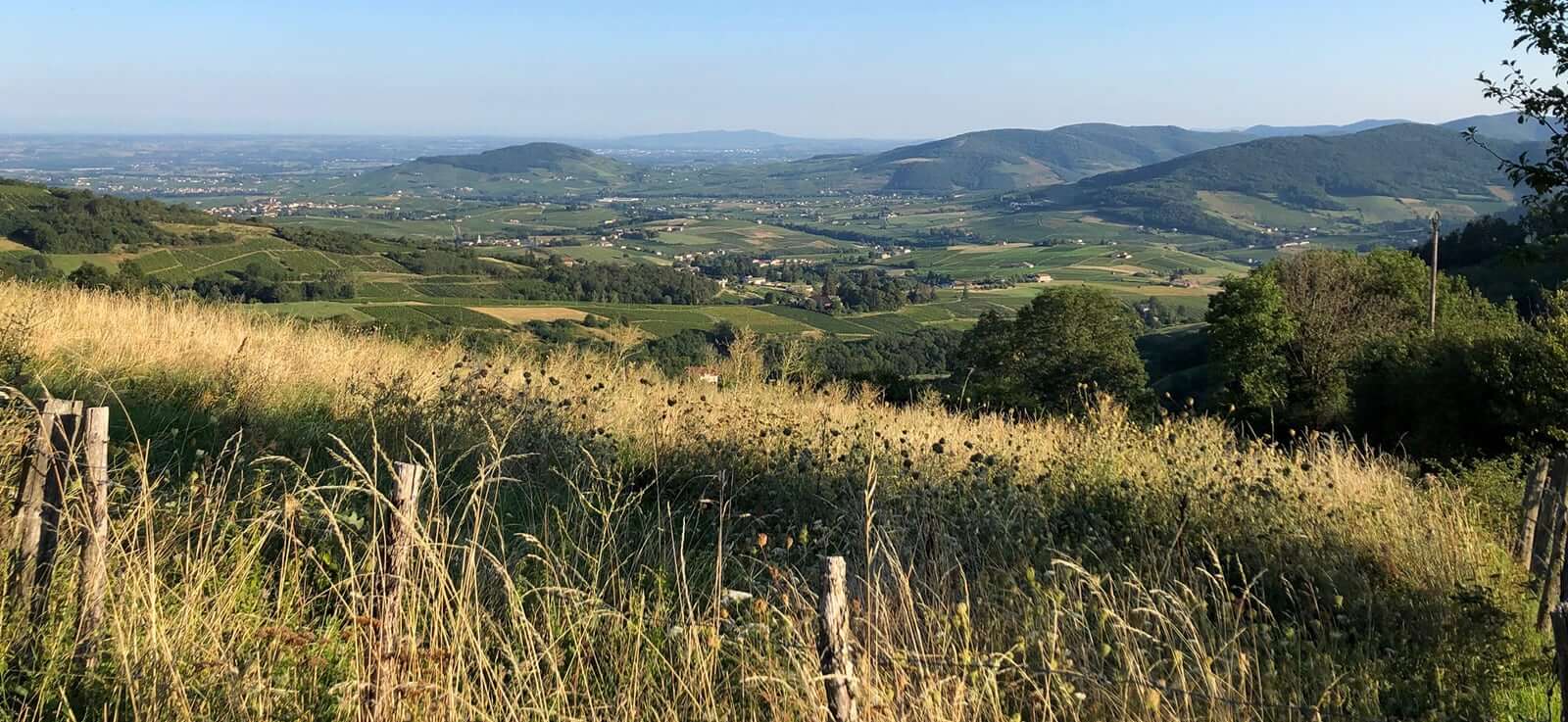 Beaujolais vue panoramique Vignoble CHANRION