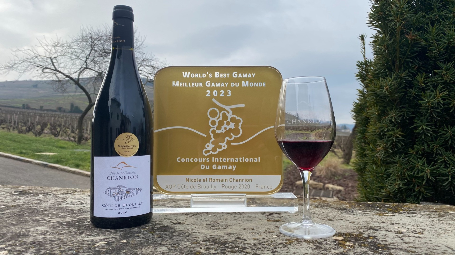 World's best Gamay 2023