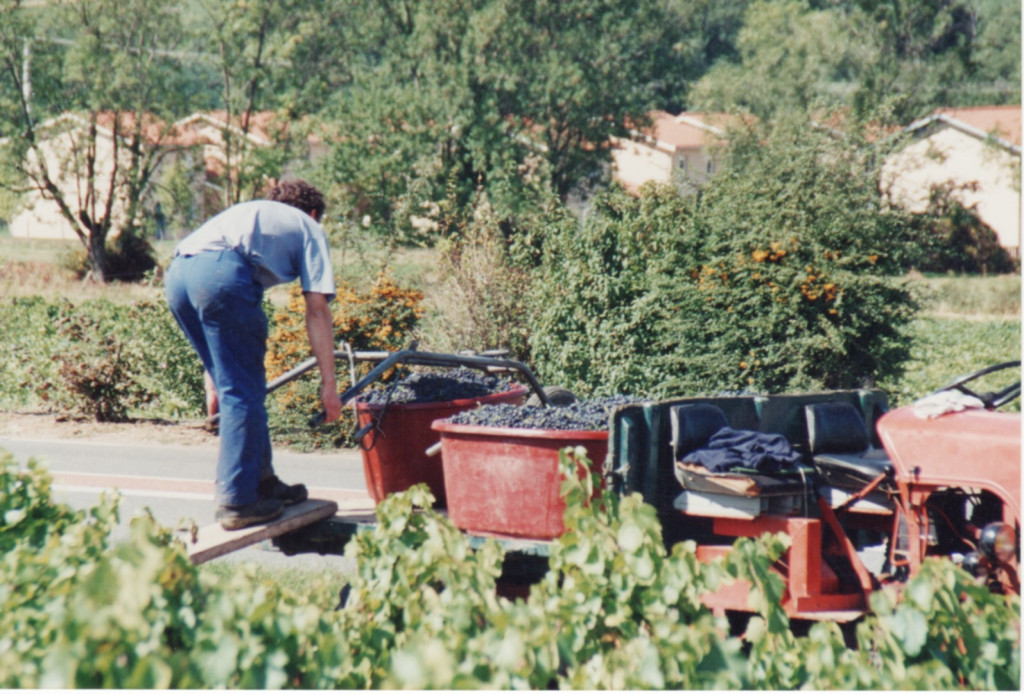 Photo d'archives : Chargement des bennes sur la tracteur