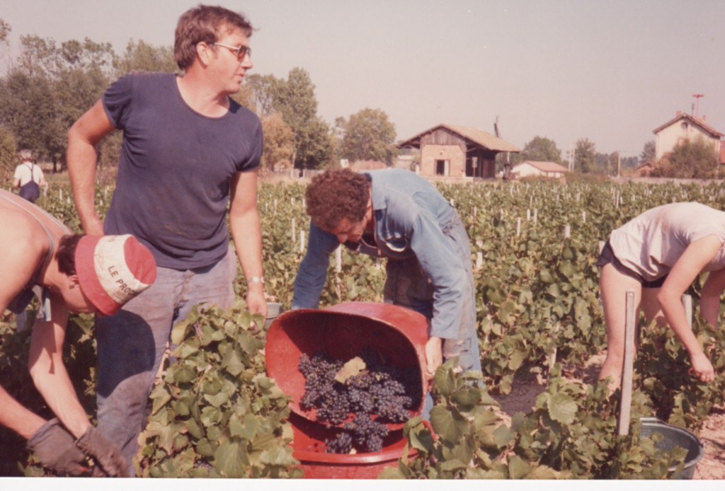 La 40&egrave;me campagne de vendanges pour Georges