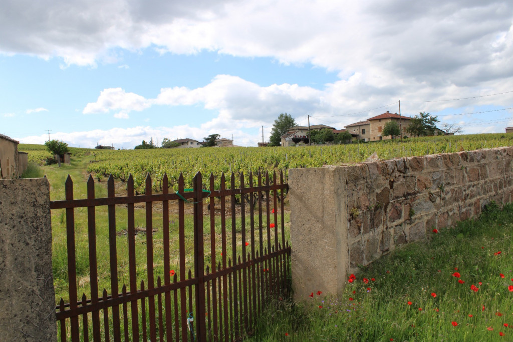 Clos du Cimetière