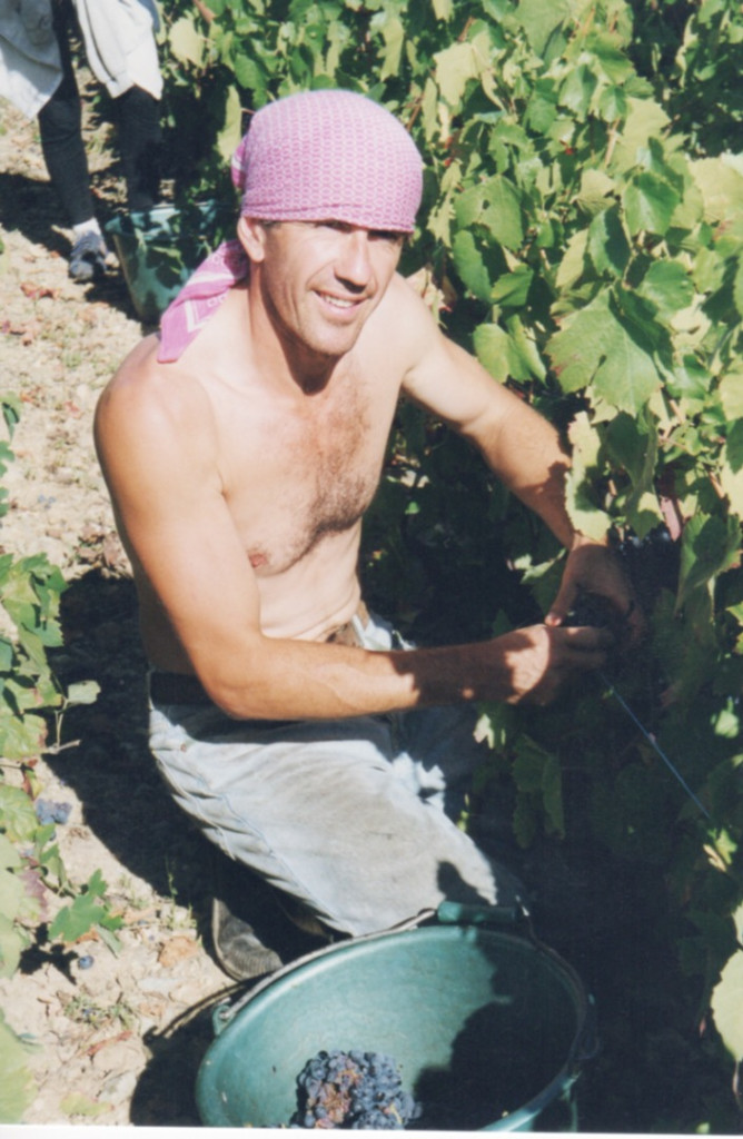 La 40&egrave;me campagne de vendanges pour Georges