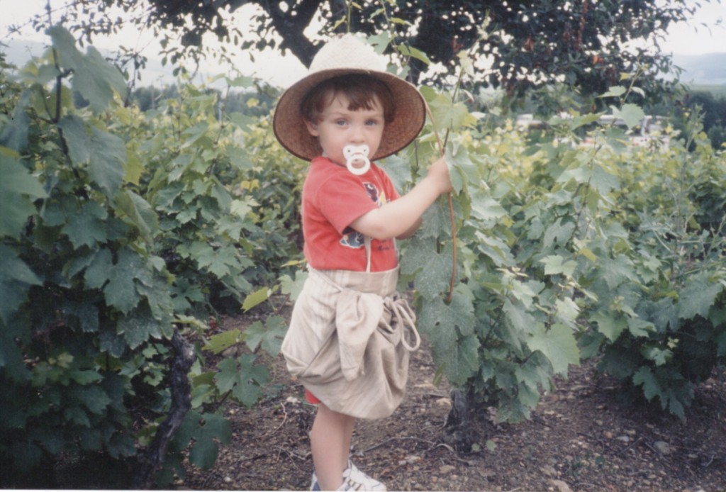 Photo d'archives : Romain dans les vignes dès le plus jeune âge