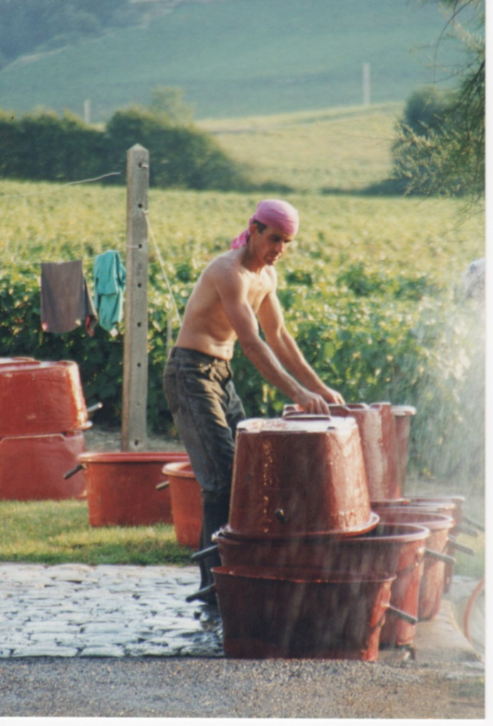 La 40&egrave;me campagne de vendanges pour Georges