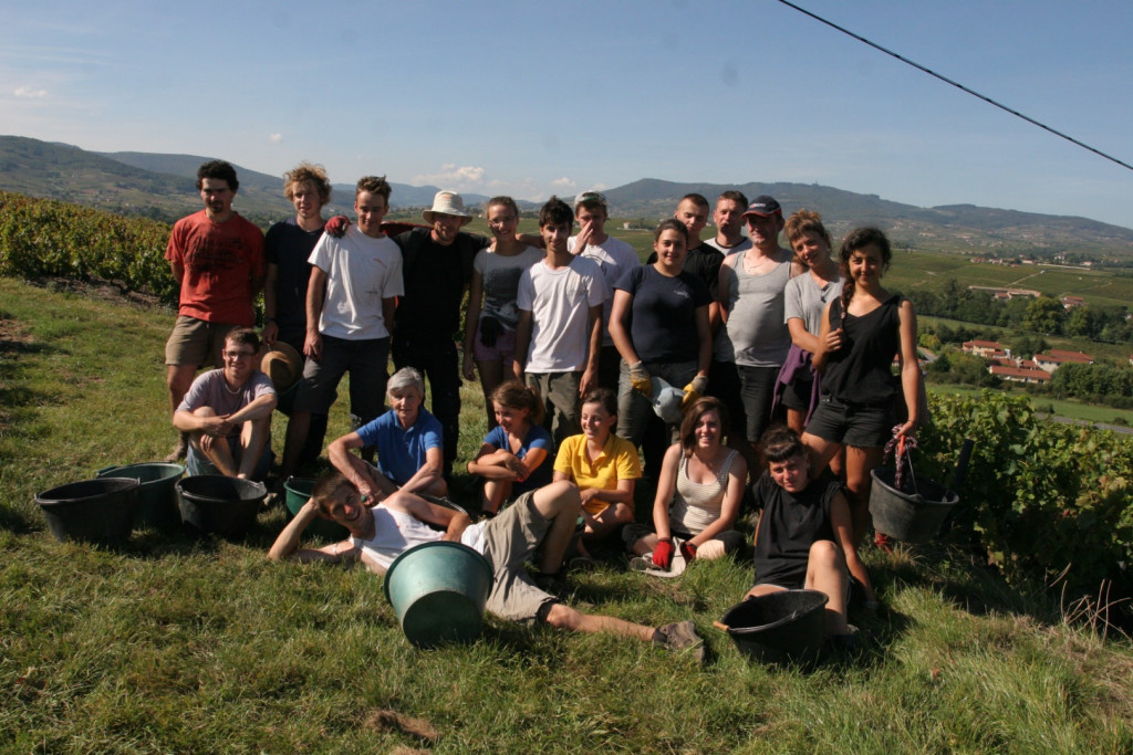 Vendanges 2014