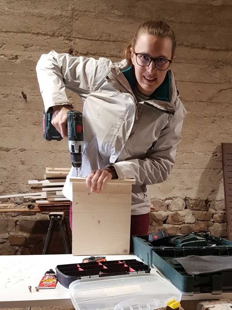 L’installation de nichoir à chauve souris