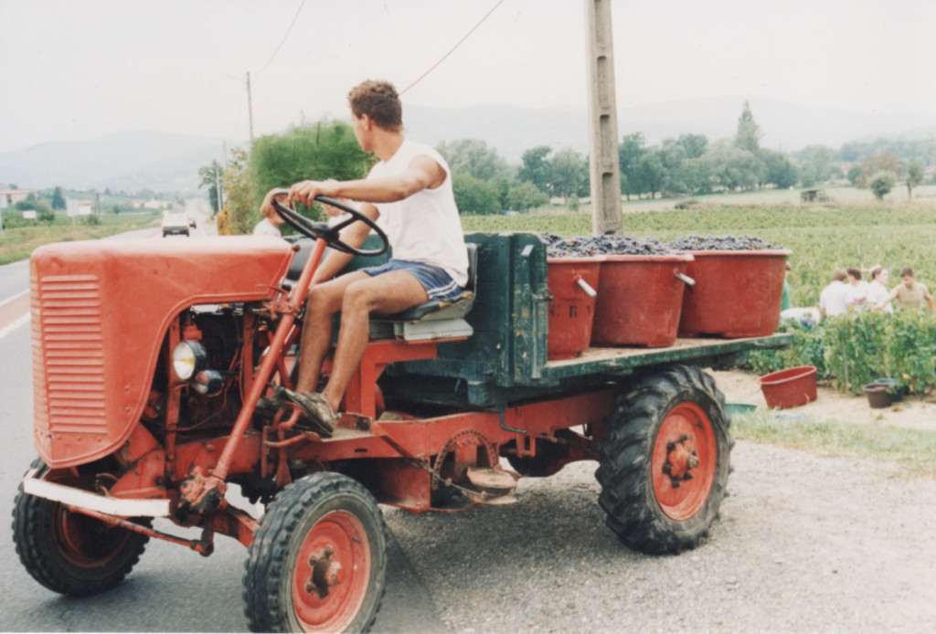 Photo d'archives : Transport des bennes de raisins