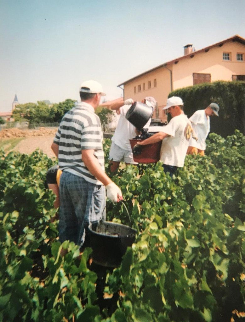 La 40&egrave;me campagne de vendanges pour Georges