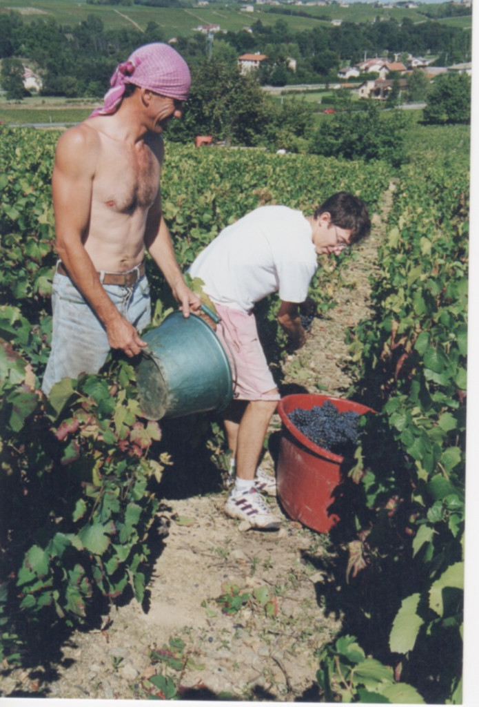 La 40&egrave;me campagne de vendanges pour Georges